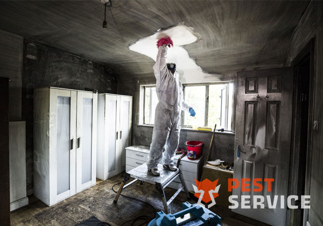 Профессиональная уборка помещений после пожара в Калининграде от 2500 руб: удаление сажи, копоти и запаха гари, глубокая очистка поверхностей и восстановление чистоты. Быстро, безопасно и эффективно.