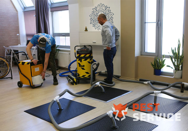 Профессиональная сушка после потопа в Калининграде от 3000 руб. Быстро устраняем влагу, предотвращаем плесень и повреждения. Современное оборудование и опытные специалисты. Безопасно и эффективно.